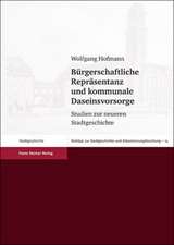 Buergerschaftliche Reprasentanz Und Kommunale Daseinsvorsorge: Studien Zur Neueren Stadtgeschichte