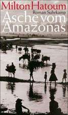 Asche vom Amazonas