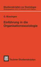 Einführung in die Organisationssoziologie