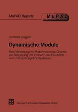 Dynamische Module: Eine Verwaltung für Maschinencode-Objekte zur Steigerung der Effizienz und Flexibilität von Computeralgebra-Systemen