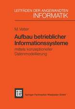 Aufbau betrieblicher Informationssysteme: mittels konzeptioneller Datenmodellierung