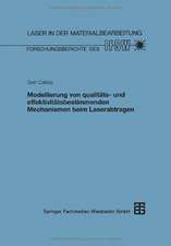 Modellierung von qualitäts- und effektivitätsbestimmenden Mechanismen beim Laserabtragen