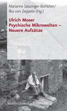 Psychische Mikrowelten - Neuere Aufsatze: Voraussetzungen - Wirkungen - Barrieren