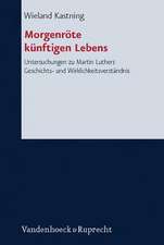 Morgenrote Kunftigen Lebens: Das Reformatorische Evangelium ALS Neubestimmung Der Geschichte. Untersuchungen Zu Martin Luthers Geschichts- Und Wirk