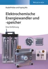 Elektrochemische Energiewandler und –speicher