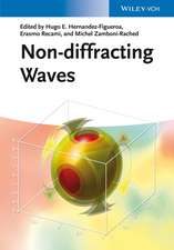 Non–diffracting Waves