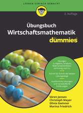 Übungsbuch Wirtschaftsmathematik für Dummies 2e