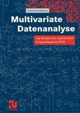 Multivariate Datenanalyse: Am Beispiel des statistischen Programmpakets SPSS