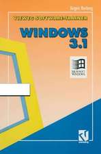 Vieweg-Software-Trainer Windows 3. 1