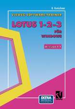 Vieweg-Software-Trainer Lotus 1–2–3 für Windows