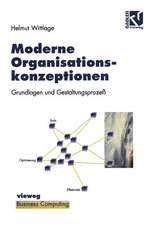 Moderne Organisationskonzeptionen: Grundlagen und Gestaltungsprozeß