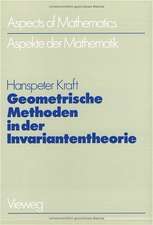 Geometrische Methoden in der Invariantentheorie