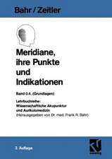 Meridiane, ihre Punkte und Indikationen