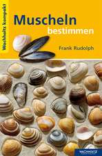 Muscheln und Schnecken bestimmen