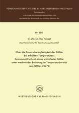 Über die Dauerschwingfestigkeit der Stähle bei erhöhten Temperaturen: Spannung-Bruchzeit-Linien warmfester Stähle unter wechselnder Belastung im Temperaturbereich von 500 bis 700°C