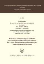 Erarbeitung und Erprobung von Methoden zum Training reduzierter Intelligenzfunktionen bei Kindern mit schweren Körperbehinderungen, insbesondere Cerebralparesen