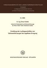 Ermittlung der Laufeigenschaften von Schienenfahrzeugen bei regelloser Erregung