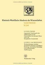 Angewandte Forschung für die Stahlerzeugung in den Unternehmen, auf nationaler Ebene und in der Europäischen Gemeinschaft: Wechselwirkungen zwischen physikalisch-chemischer Grundlagenforschung, theoretischer Metallurgie und großindustrieller Stahlerzeugung