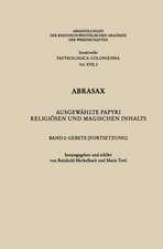 Abrasax: Ausgewählte Papyri religiösen und magischen Inhalts. Band 2: Gebete (Fortsetzung)