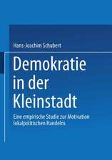 Demokratie in der Kleinstadt: Eine empirische Studie zur Motivation lokalpolitischen Handelns