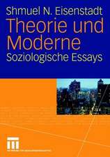 Theorie und Moderne: Soziologische Essays