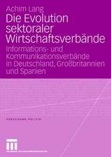 Die Evolution sektoraler Wirtschaftsverbände: Informations- und Kommunikationsverbände in Deutschland, Großbritannien und Spanien