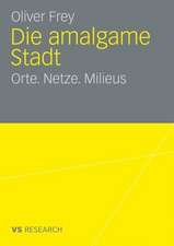 Die amalgame Stadt: Orte. Netze. Milieus