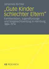 „Gute Kinder schlechter Eltern“: Familienleben, Jugendfürsorge und Sorgerechtsentzug in Hamburg, 1884-1914