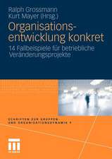 Organisationsentwicklung konkret: 14 Fallbeispiele für betriebliche Veränderungsprojekte