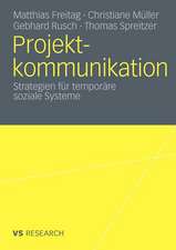 Projektkommunikation: Strategien für temporäre soziale Systeme