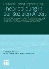 Theoriebildung in der Sozialen Arbeit: Entwicklungen in der Sozialpädagogik und der Sozialarbeitswissenschaft