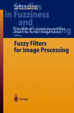 Fuzzy Filters for Image Processing