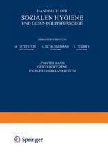 Handbuch der Sozialen Hygiene und Gesundheitsfürsorge: Zweiter Band: Gewerbehygiene und Gewerbekrankheiten