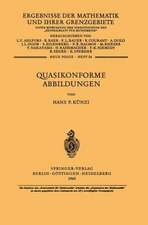 Quasikonforme Abbildungen