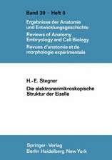 Die elektronenmikroskopische Struktur der Eizelle