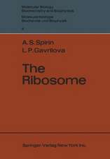 The Ribosome