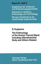 The Embryology of the Human Thyroid Gland Including Ultimobranchial Body and Others Related