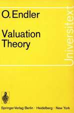 Valuation Theory