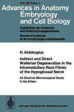 Indirect and Direct Wallerian Degeneration in the Intramedullary Root Fibres of the Hypoglossal Nerve: An Electron Microscopical Study in the Kitten