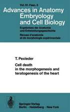 Cell death in the morphogenesis and teratogenesis of the heart