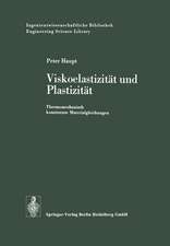 Viskoelastizität und Plastizität: Thermomechanisch konsistente Materialgleichungen