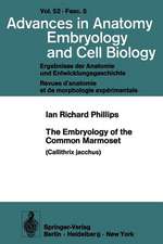 The Embryology of the Common Marmoset: Callithrix jacchus