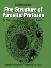 Fine Structure of Parasitic Protozoa: An Atlas of Micrographs, Drawings and Diagrams