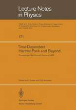 Time Dependent Hartree-Fock and Beyond: Proceedings of the International Symposium Held in Bad Honnef, Germany, June 7–11,1982