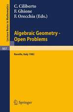 Algebraic Geometry - Open Problems: Proceedings of the Conference held in Ravello, May 31 - June 5, 1982