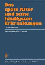 Das späte Alter und seine häufigsten Erkrankungen: Praktische Geriatrie