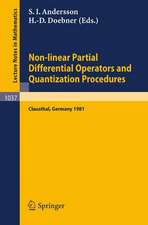 Non-linear Partial Differential Operators and Quantization Procedures: Proceedings of a Workshop held at Clausthal, Federal Republic of Germany, 1981