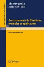 Grossissements de filtrations: exemples et applications: Seminaire de Calcul Stochastique 1982/83 Universite Paris VI