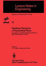 Nonlinear Dynamics of Transcritical Flows: Proceedings of a DFVLR International Colloquium, Bonn, Germany, March 1984