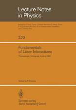 Fundamentals of Laser Interactions: Proceedings of a Seminar held at Obergurgl, Austria, February 24 – March 2, 1985